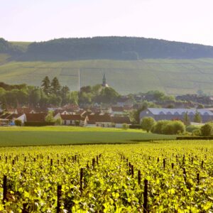 An ode to Chardonnay, from South of France to Chablis Perjantai 24.10. klo 19–20