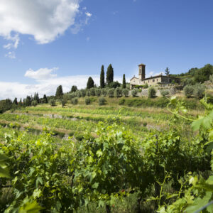 Querciabella and Tuscan versatility Torstai 23.10. klo 18:30–19:30