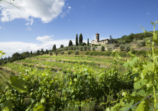 Querciabella and Tuscan versatility Torstai 23.10. klo 18:30–19:30