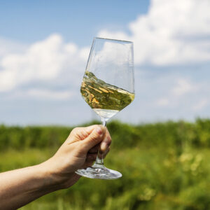 Bordeaux Blanc – Porvoon lankut -tasting Torstai 23.10. klo 16:30–17:30