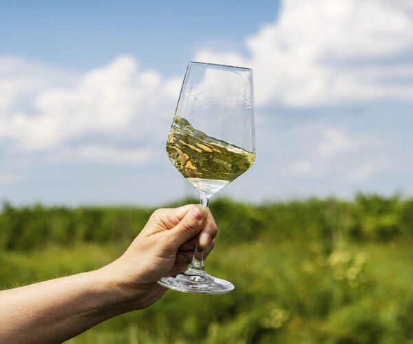 Bordeaux Blanc – Porvoon lankut -tasting Torstai 23.10. klo 16:30–17:30
