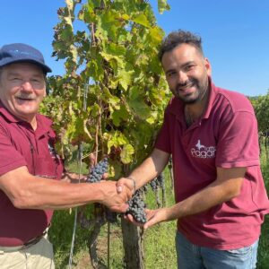 Tasting of Wines from the Falerno del Massico Region in Italy  Lauantai 25.10. klo 19–20