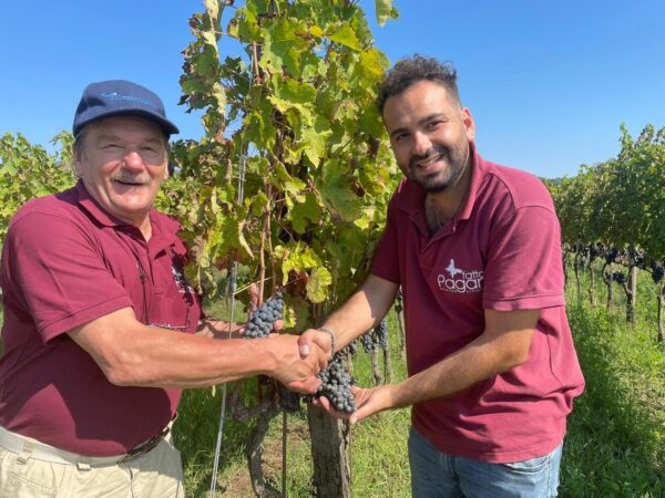 Tasting of Wines from the Falerno del Massico Region in Italy  Lauantai 25.10. klo 19–20
