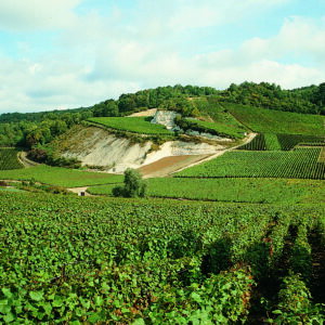 Devaux Champagne - kiehtovat Côtes du Barin samppanjat Lauantai 25.10. klo 18:30–19:30