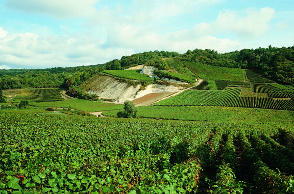 Devaux Champagne - kiehtovat Côtes du Barin samppanjat Lauantai 25.10. klo 18:30–19:30