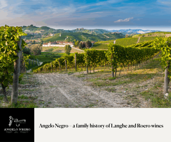 Angelo Negro – a family history of Langhe and Roero wines Lauantai 25.10. klo 17–18